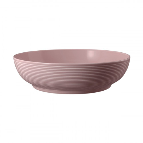 Seltmann Weiden Beat Altrosa Cuenco para comida 25 cm