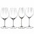 Riedel Performance Tasting-lasien setti 4 osaa