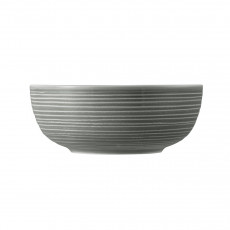 Seltmann Weiden Terra Perlgrau Μπολ φαγητού 20 cm