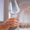 Villeroy & Boch La Divina Glasses