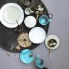 Rosenthal Mesh