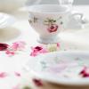 Rosenthal Maria Pink Rose