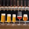 Schott Zwiesel Beer Basic