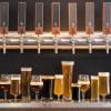 Schott Zwiesel Beer Basic