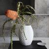 Rosenthal studio-line Phi