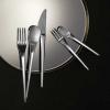 Villeroy & Boch NewMoon Cutlery 