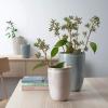 ASA SELECTION Vases