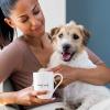 Villeroy & Boch Statement & Lines