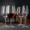 Nachtmann ViVino