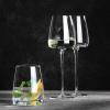 Zieher Bicchieri da Vino Vision