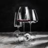 Zieher Bicchieri da Vino Vision