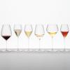 Riedel Veloce