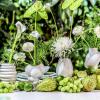 Rosenthal Midi-Vases
