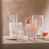 Schott Zwiesel Age & Fave