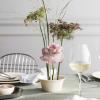 Villeroy & Boch Cellini