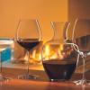 Riedel Veritas