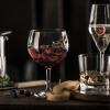 Schott Zwiesel Bar Special