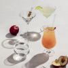 Schott Zwiesel Bar Special
