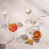 Schott Zwiesel Classico