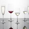 Schott Zwiesel Classico