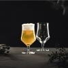 Schott Zwiesel Beer Basic