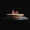 Seltmann Weiden Nori Home Color Glaze
