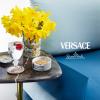 Rosenthal Versace Le Jardin de Versace