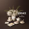 Rosenthal Versace La Coupe des Dieux