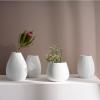 ASA SELECTION Vases