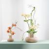ASA SELECTION Vases