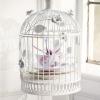 Wedgwood Harlequin Collection Cuckoo