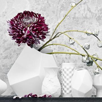 Rosenthal studio-line Vasen & Accessoires