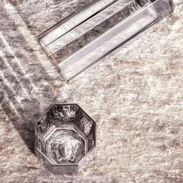 Rosenthal Versace Medusa Lumiere Haze