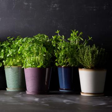 Flower Pots