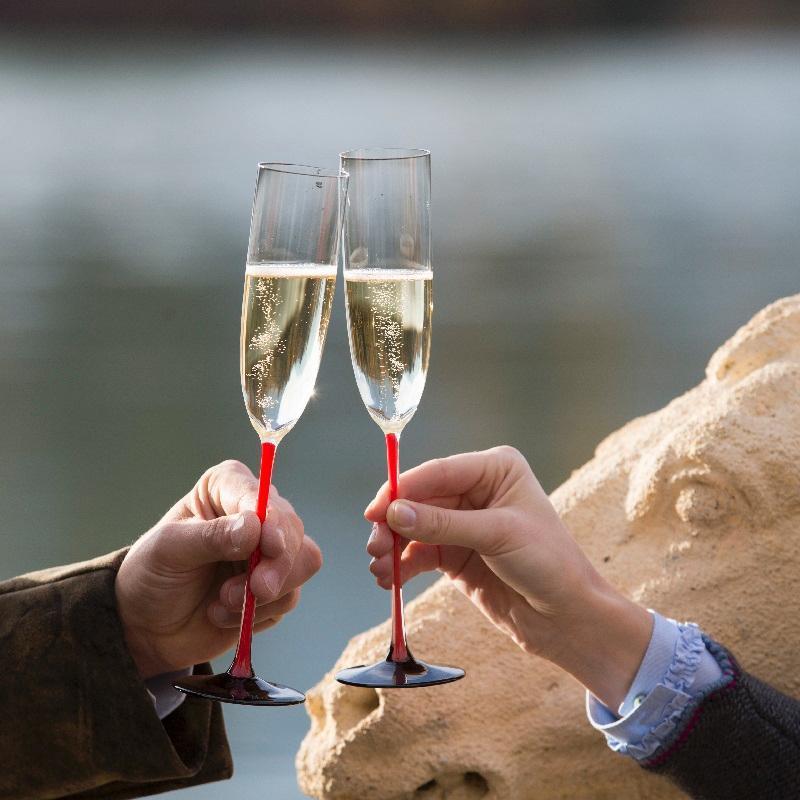 Riedel Black Series Elegant Wine Glasses