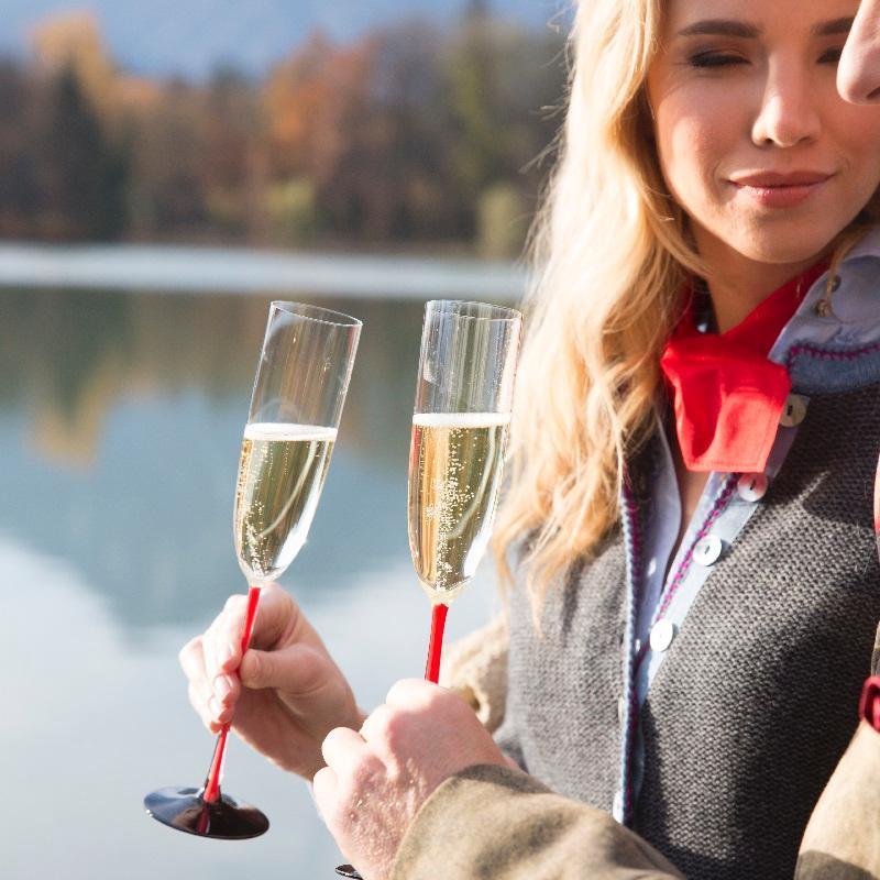 Riedel Sommeliers Black Series Red Black